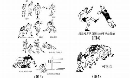 七人橄榄球得分_橄榄球规则7人