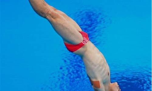 伦敦奥运会跳水_伦敦奥运会跳水女子10米台决赛